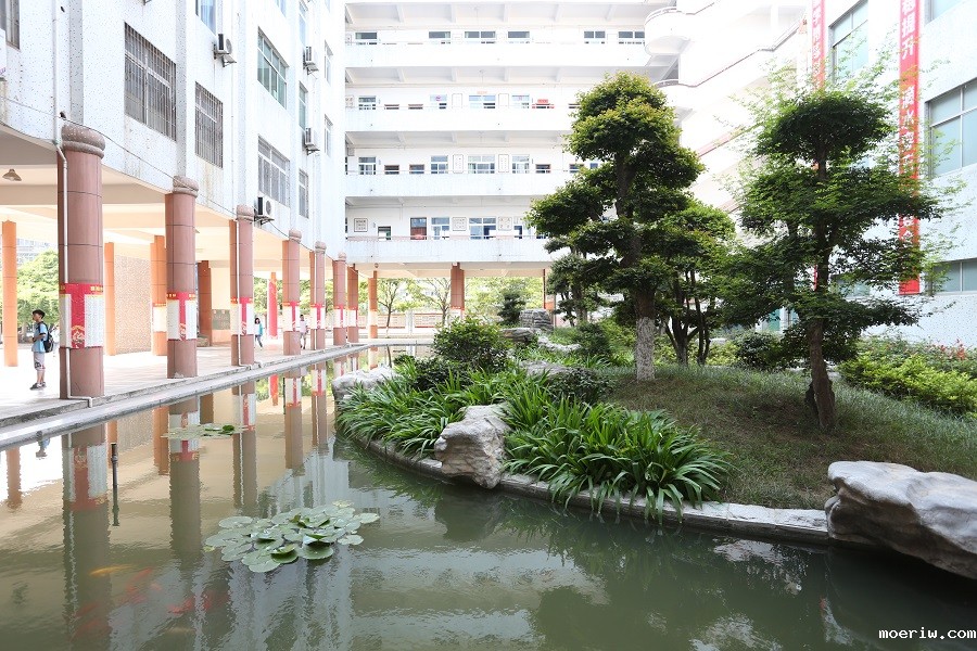 至善楼山水 (2).JPG
