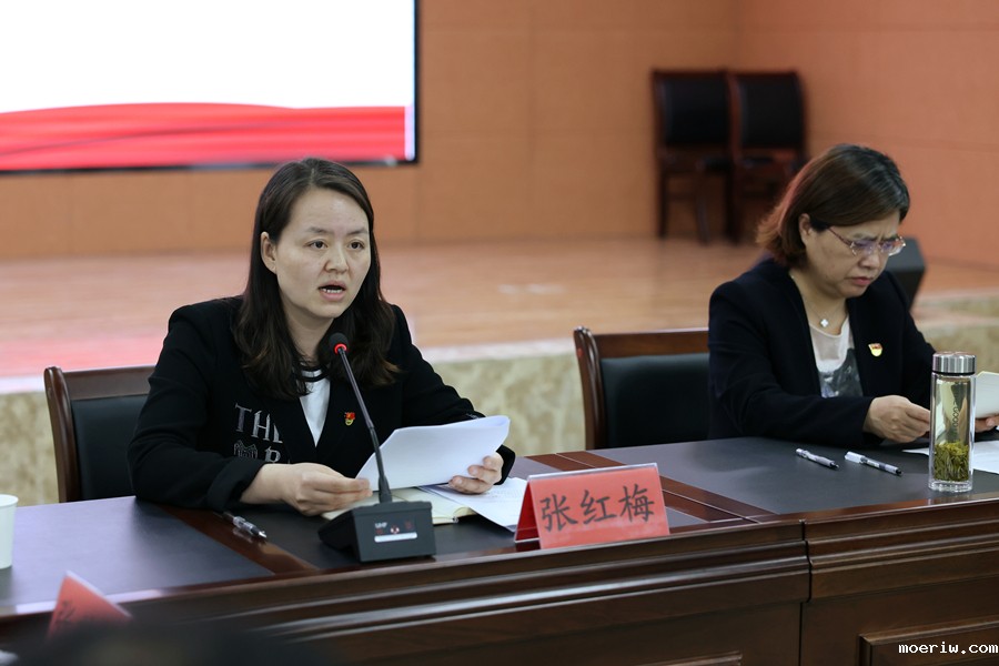 02-张红梅书记发言.jpg