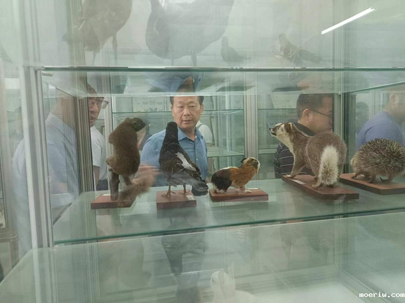 图片4_副本.png