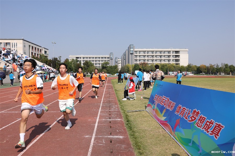96.jpg